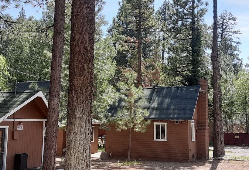 Grey Squirrel Resort