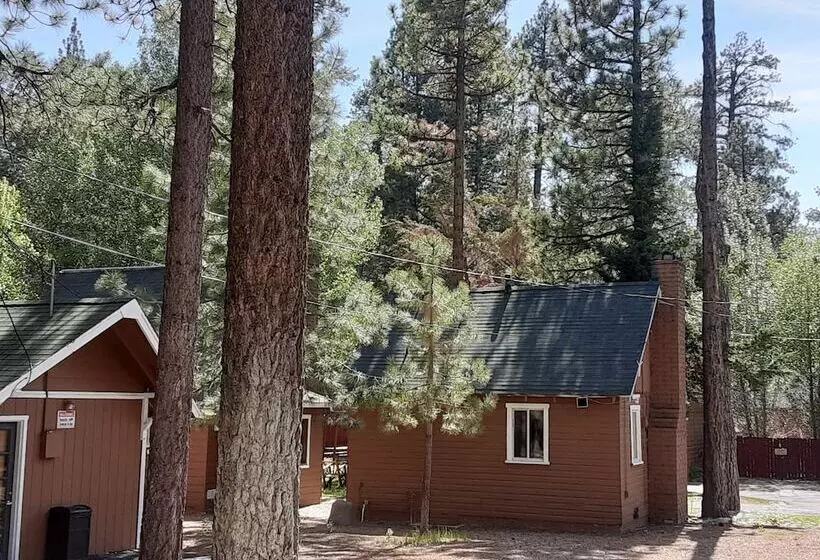 Grey Squirrel Resort