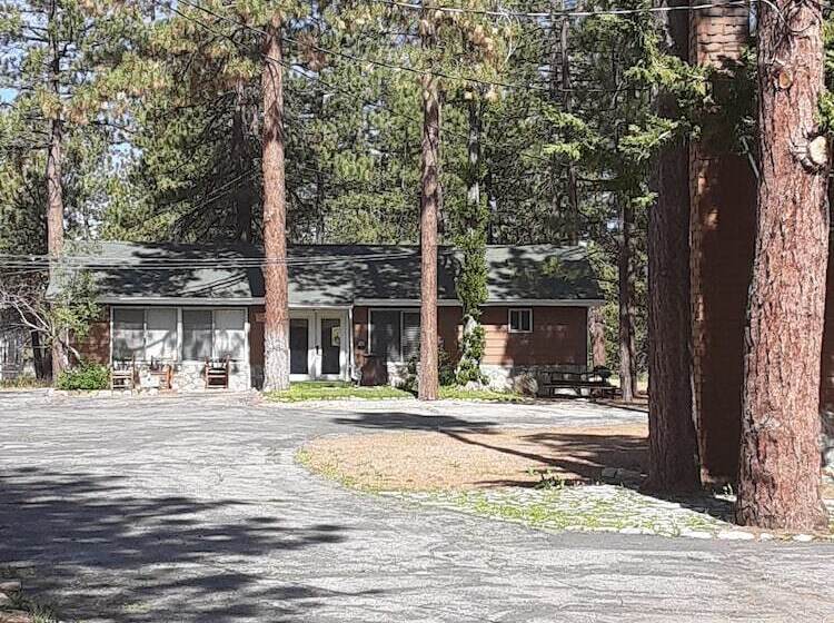 Grey Squirrel Resort