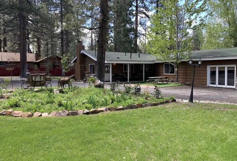 Grey Squirrel Resort