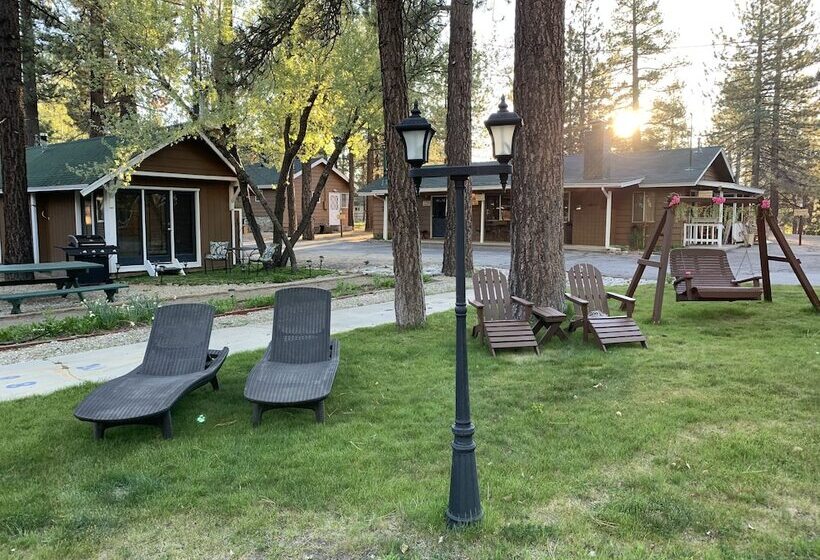 Grey Squirrel Resort