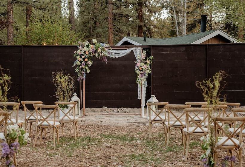 Grey Squirrel Resort