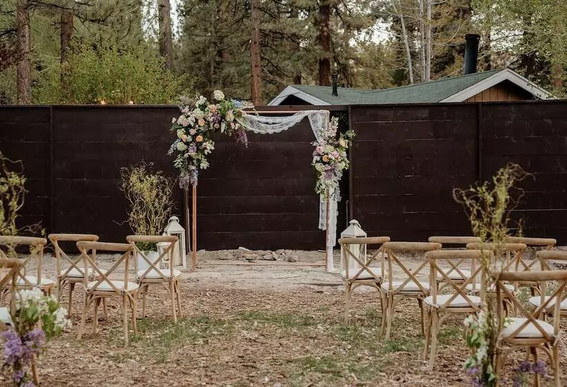 Grey Squirrel Resort