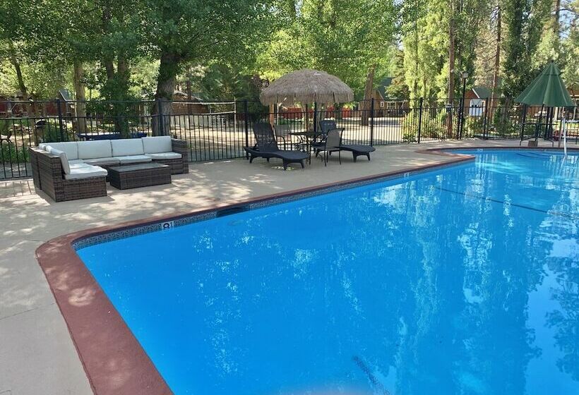 Grey Squirrel Resort