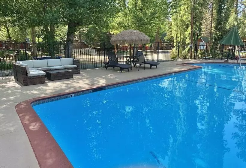 Grey Squirrel Resort