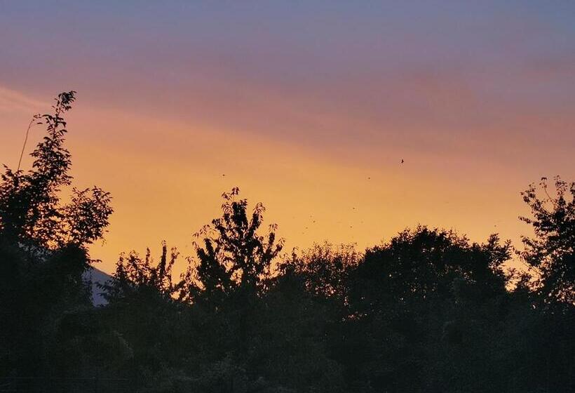 مبيت وإفطار Montesarchiorooms