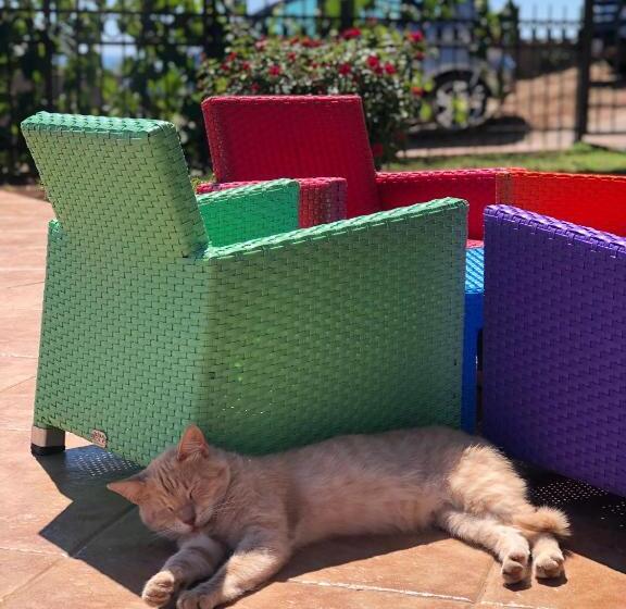 تختخواب و صبحانه Open Sky Apartments