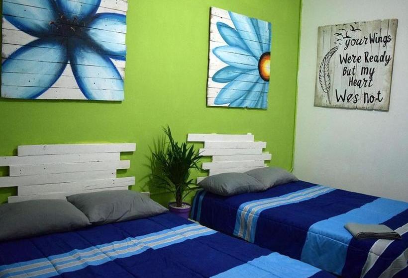 ペンション Room In Bb Hostel In Playa Del Carmen