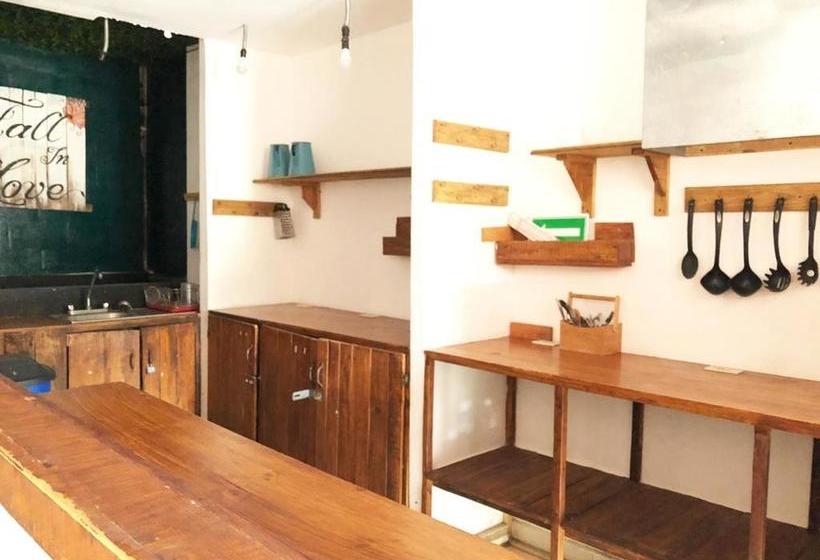 ペンション Room In Bb Hostel In Playa Del Carmen