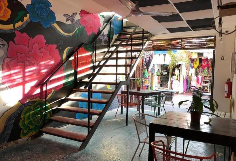 ペンション Room In Bb Hostel In Playa Del Carmen