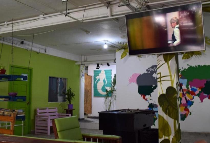 ペンション Room In Bb Hostel In Playa Del Carmen