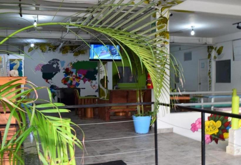 ペンション Room In Bb Hostel In Playa Del Carmen