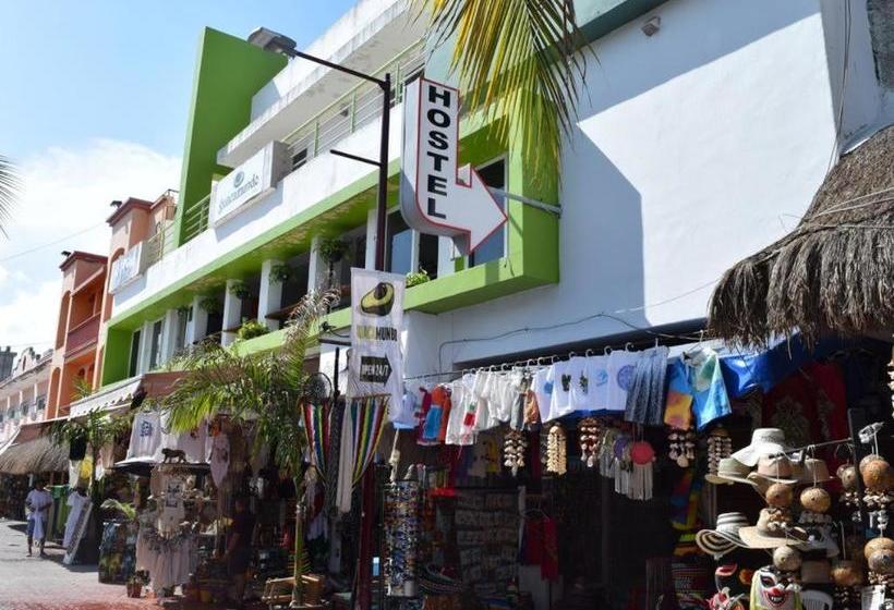 ペンション Room In Bb Hostel In Playa Del Carmen