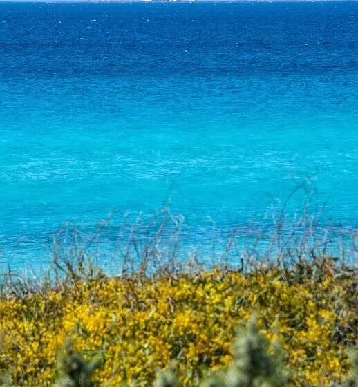 Ecoresort Le Sirene   Caroli Hotels