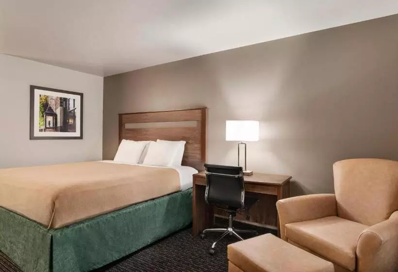 酒店 Baymont By Wyndham Buffalo