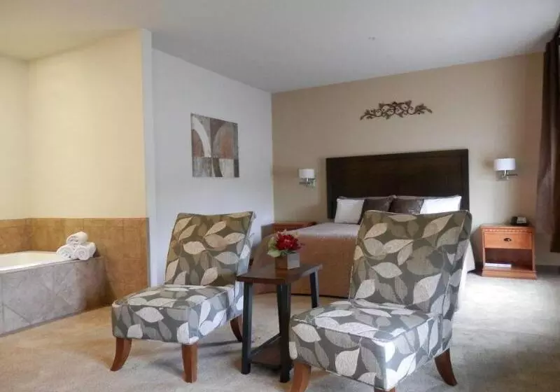 酒店 Grand View Inn & Suites