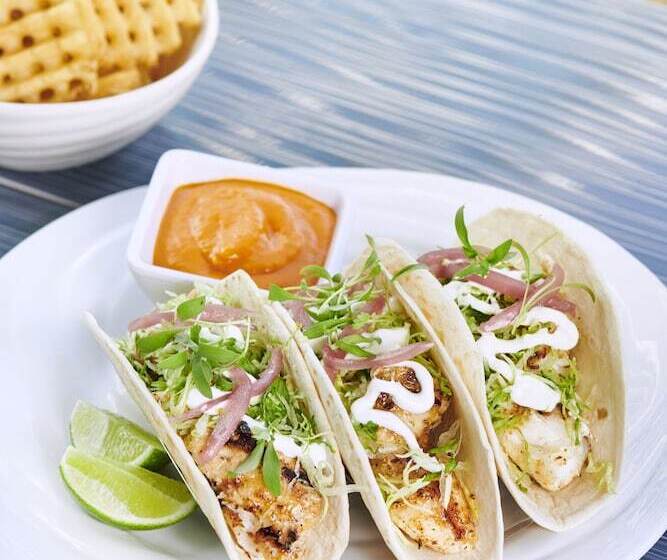 Seminole Hard Rock Hotel And Casino Tampa