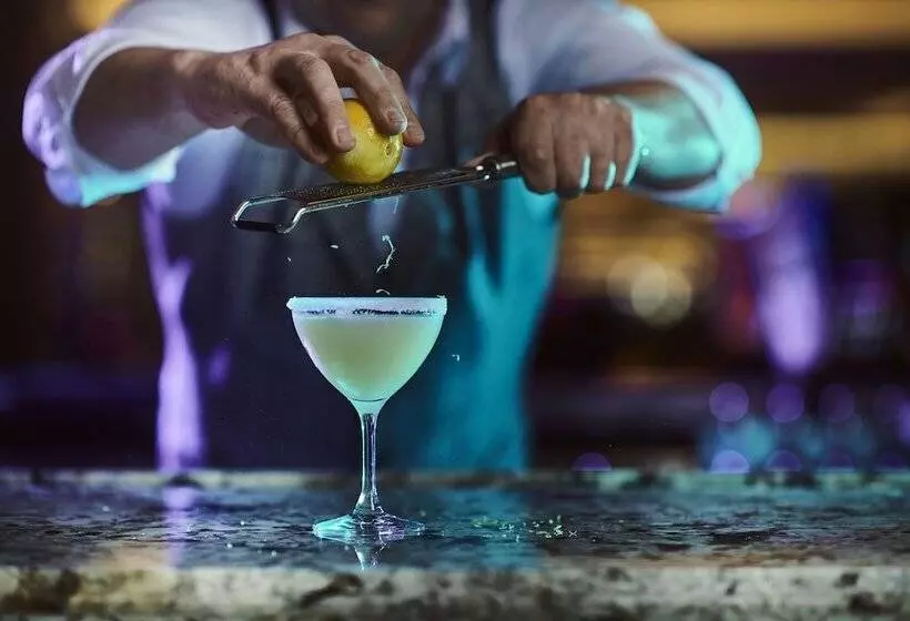 Seminole Hard Rock Hotel And Casino Tampa