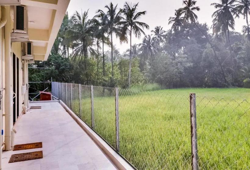 Hotelli Collection O 47512 Eleven Petals Resort