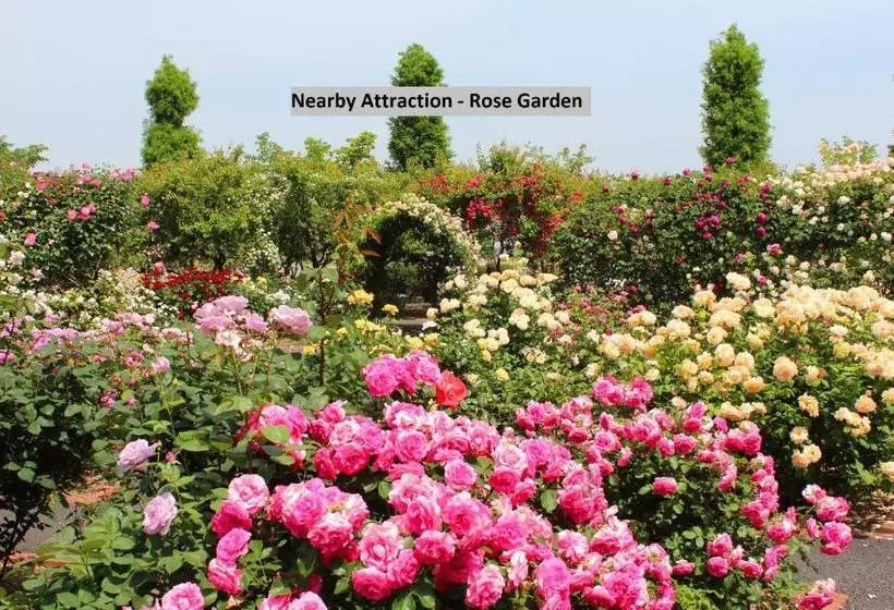 ペンション Elegant 1br Abode Near Rose Garden