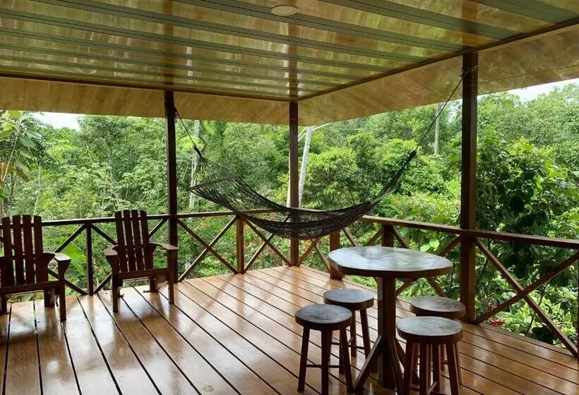 ペンション Villa With Primary Forest View
