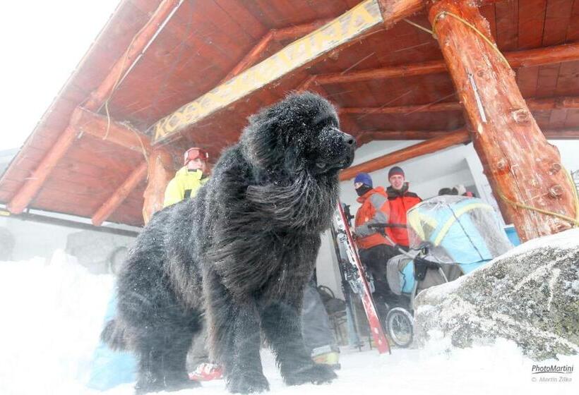 הוסטל Chata Kosodrevina Turistická Ubytovňa