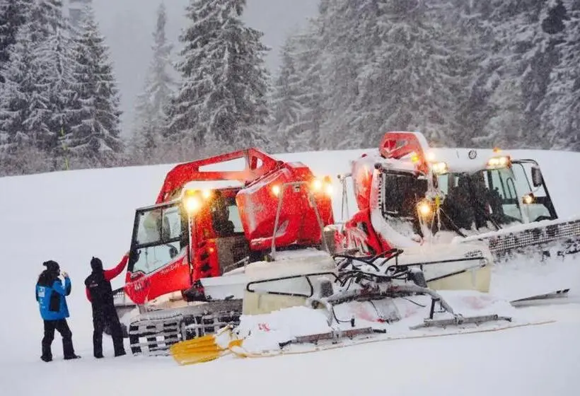 ユースホステル Chata Kosodrevina   Turistická Ubytovňa