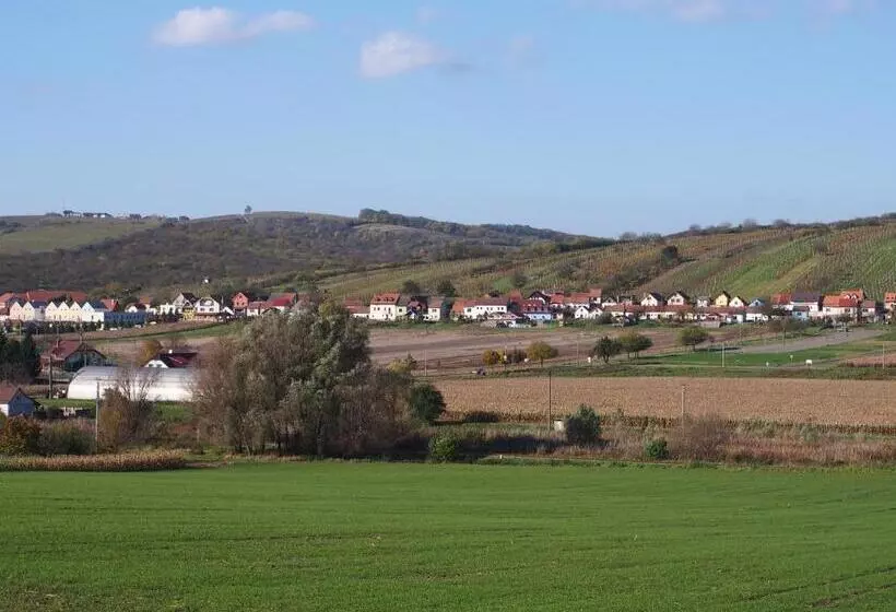 ペンション Penzion U Ivana