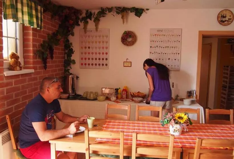 ペンション Penzion U Ivana