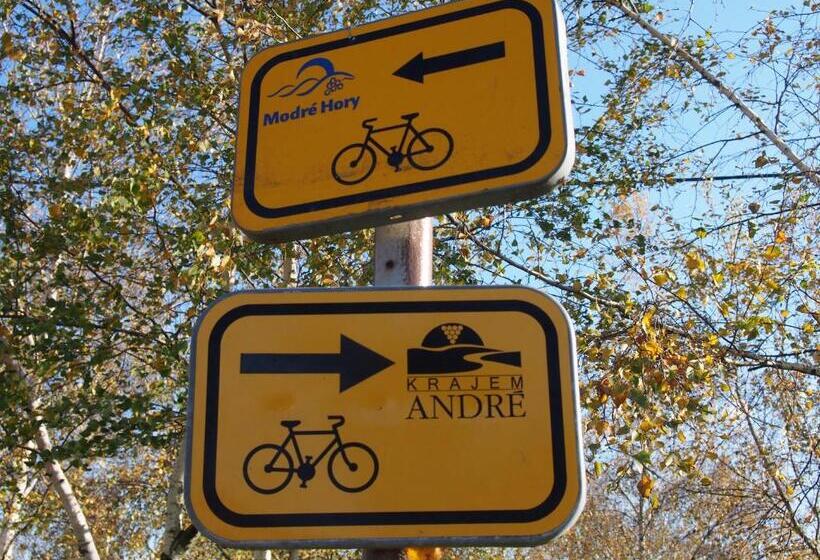 Пансион Penzion U Ivana