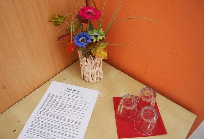 Пансион Penzion U Ivana