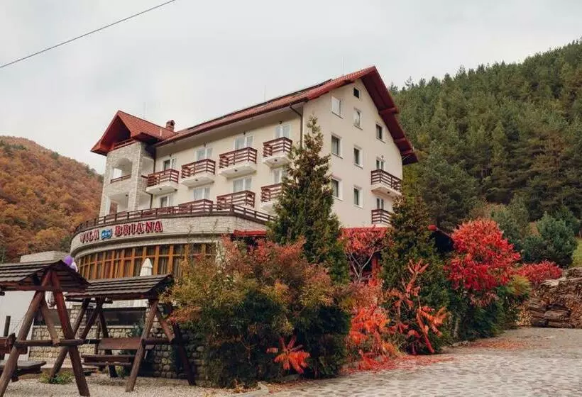 ペンション Vila Briana