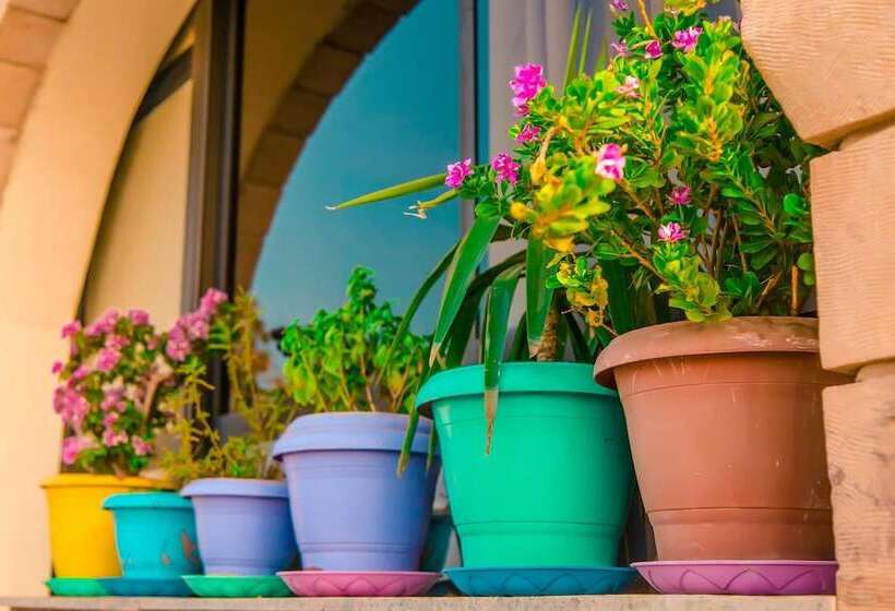 هتل Basma Executive Club