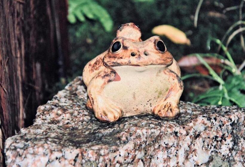 Hotel Tsubakian Kyoto Vacation Stay 29429v