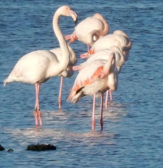 ホテル La Villetta