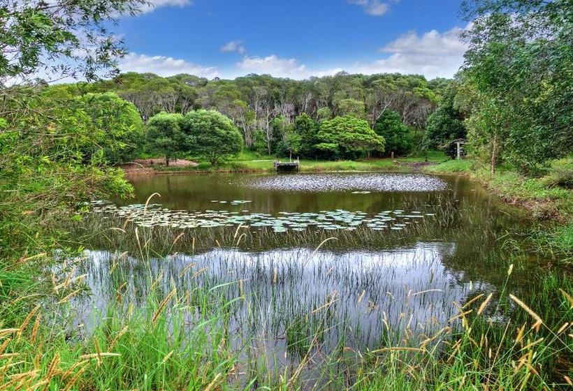 酒店 Noosa Avalon Farm Cottages