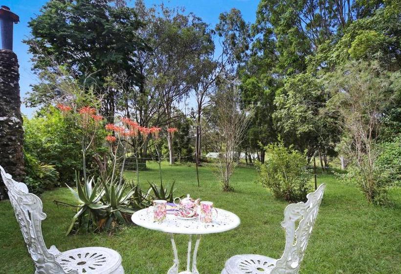 酒店 Noosa Avalon Farm Cottages