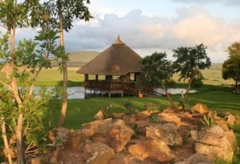 住宿加早餐 Dusk To Dawn Guesthouse