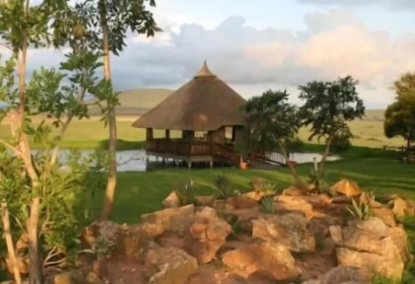 Aamiaismajoitus (B&B) Dusk To Dawn Guesthouse