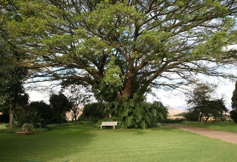 住宿加早餐 Dusk To Dawn Guesthouse