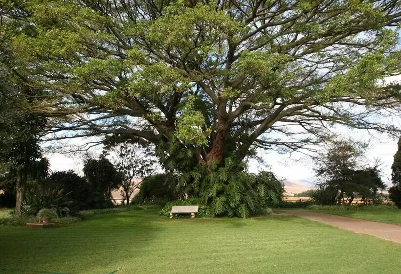 Aamiaismajoitus (B&B) Dusk To Dawn Guesthouse