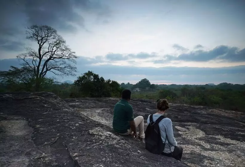 ホテル Big Game   Udawalawe By Eco Team