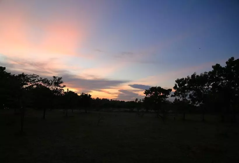 ホテル Big Game   Udawalawe By Eco Team