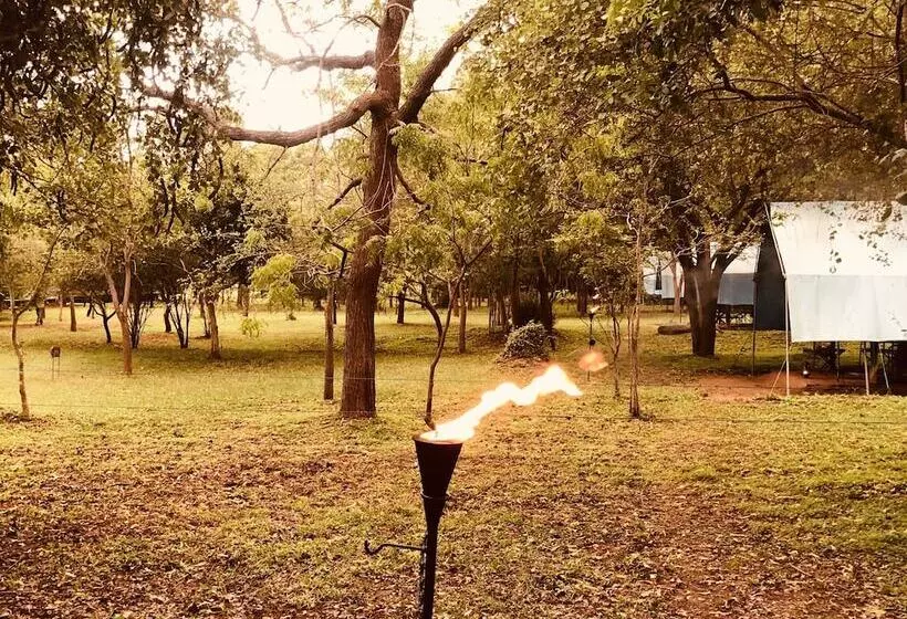 ホテル Big Game   Udawalawe By Eco Team