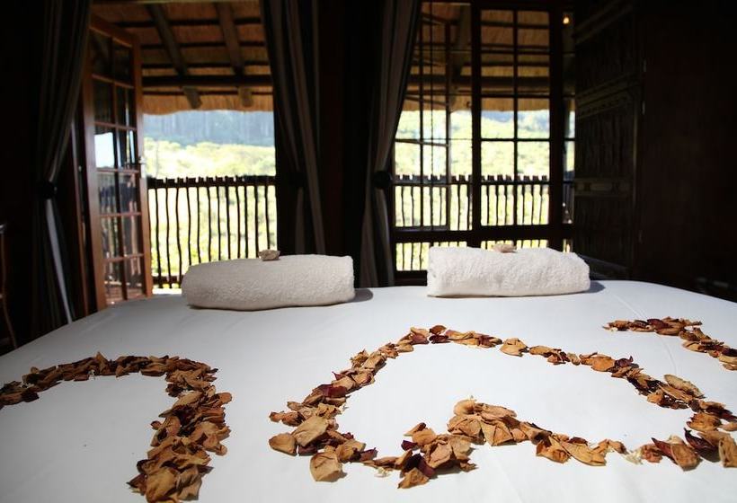 فندق Insingizi Lodge