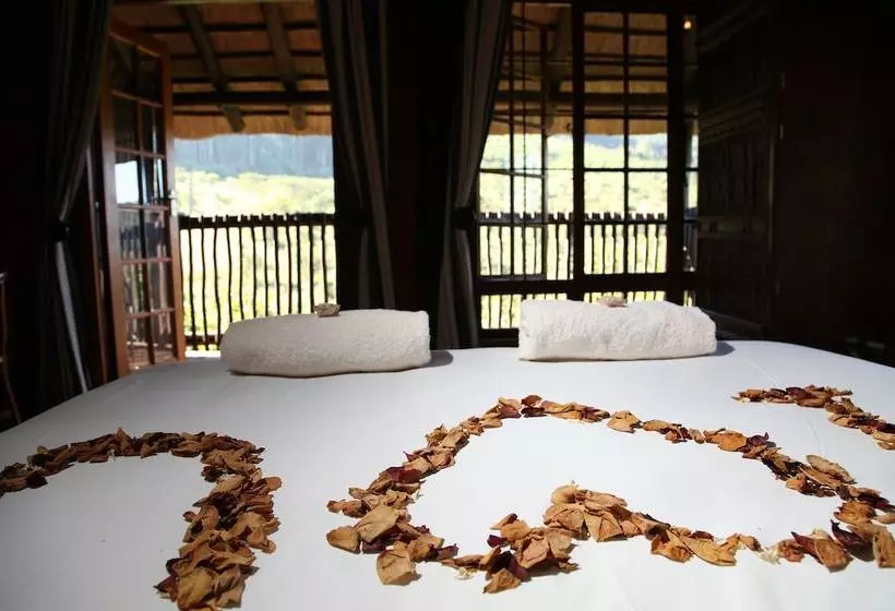 ホテル Insingizi Lodge