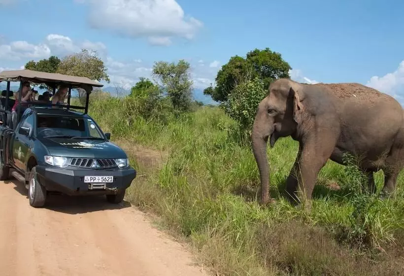 ホテル Mahoora   Udawalawe By Eco Team