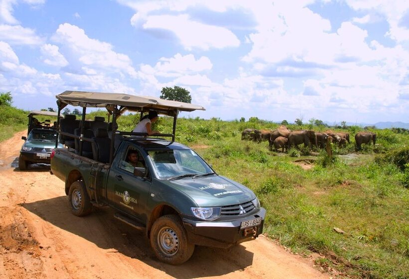 Hotel Mahoora Udawalawe By Eco Team