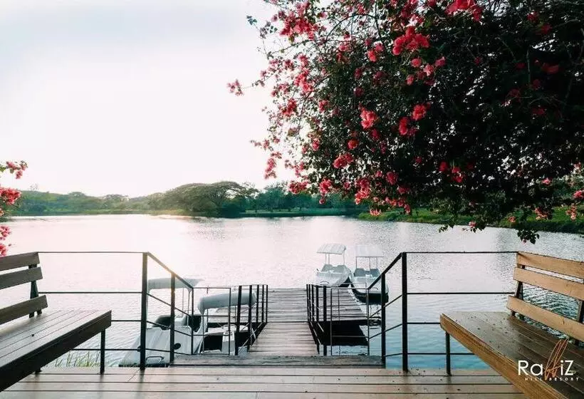 Hotelli Rabbiz Hill Resort