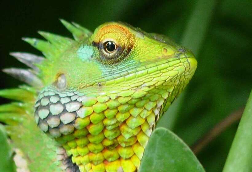 ホテル River Garden Resort